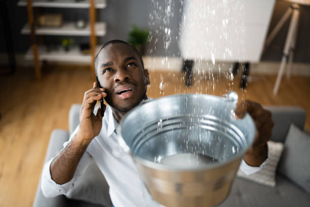 Best Water damage cleanup near me  in West Point, MS