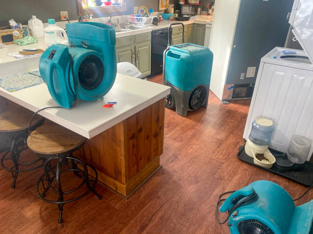 Best Water damage contractors near me  in West Point, MS