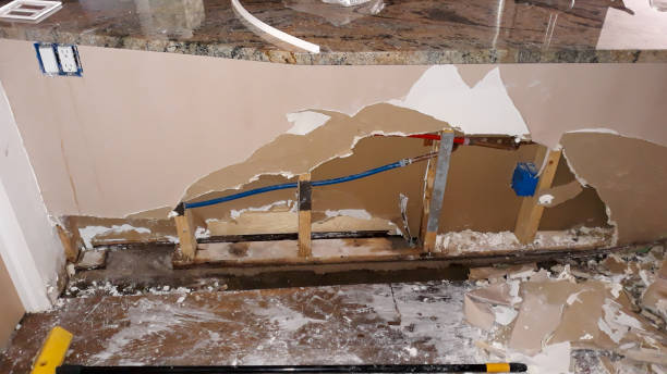 Best Basement water damage restoration  in West Point, MS