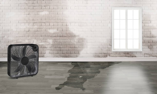 Best Water damage restoration specialists  in West Point, MS