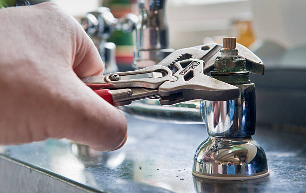 Best Mold removal after water damage  in West Point, MS