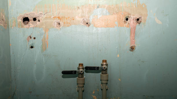 Best Professional water damage repair  in West Point, MS