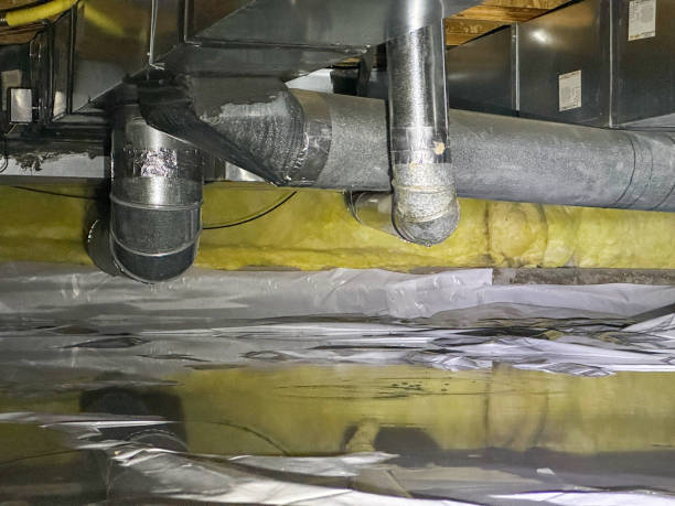Best Basement water damage restoration  in West Point, MS