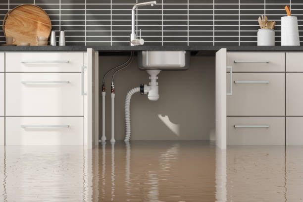 Best Mold removal after water damage  in West Point, MS